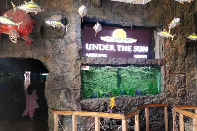 Under The Sun Aquarium Udaipur